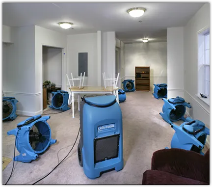 Mold Remediation & Removal in Helena Valley Northwest, MT