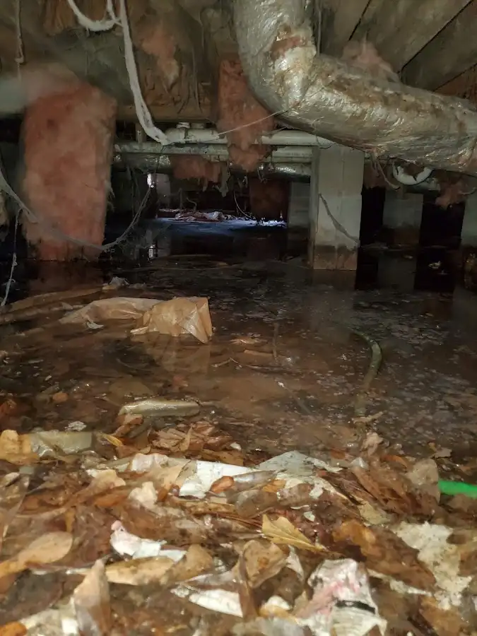 Crawl space flood assessment for Leak Detection & Repair in Helena Valley Northwest